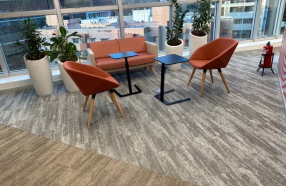 Furnished Office Space for rent in Salarpuria Tech Park Whitefield