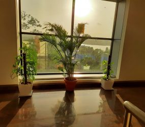 Shared Office Space in Indiranagar