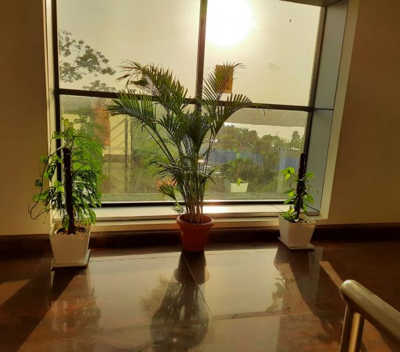 Shared Office Space in Indiranagar