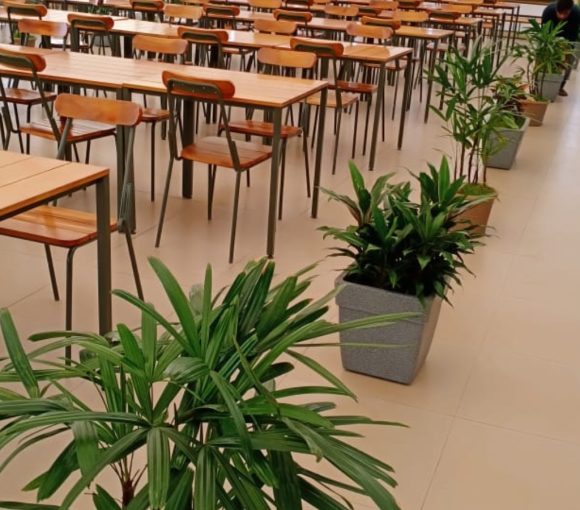 Office Space in Kammanahalli