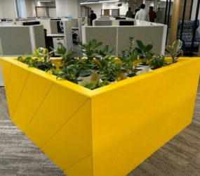 Office Space for rent in Salarpuria Softzone Bellandur
